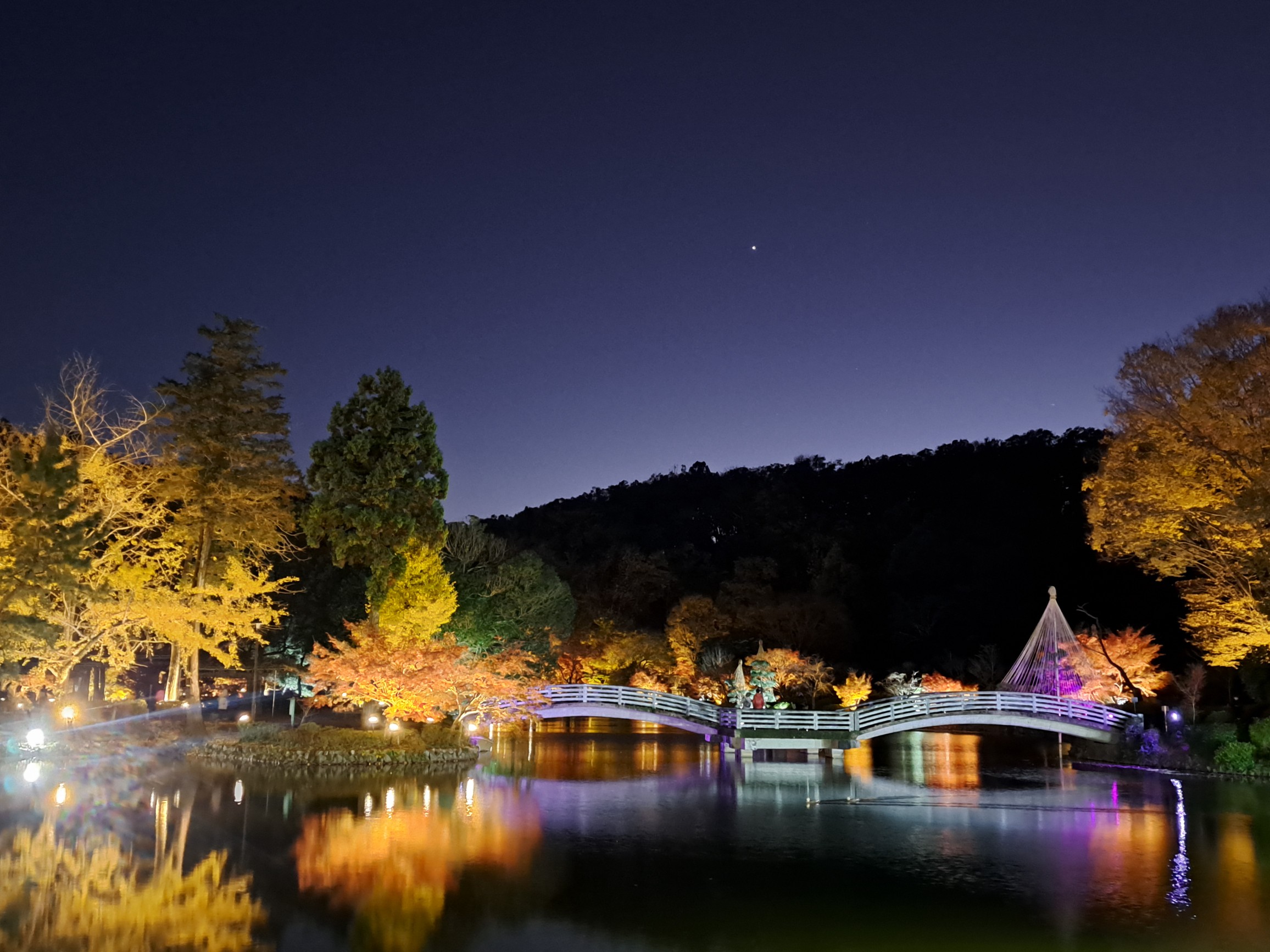 東京・町田市「秋遊び2025」開催中！～秋の夜を彩る、幻想的な雲海と紅葉ライトアップ～